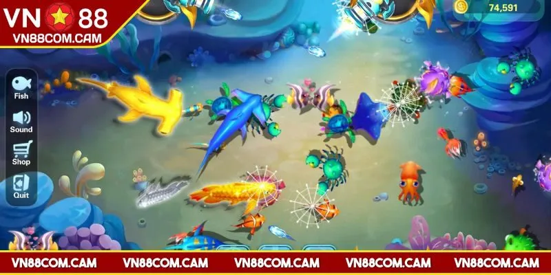 Kinh nghiệm từ vua săn cá