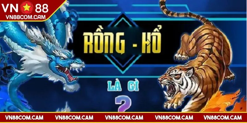 Cách chơi rồng hổ cho người mới
